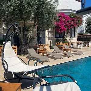 Albatross Hotel